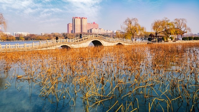 大明湖風(fēng)光
