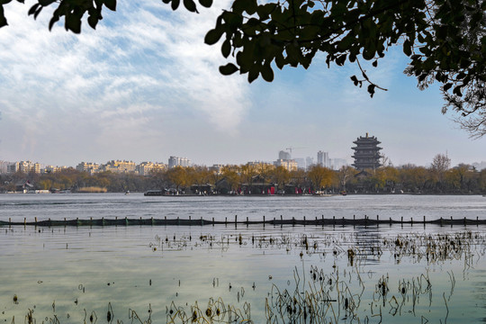 大明湖風光