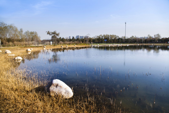 湖水沼澤