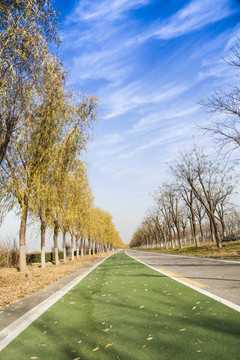 自行車道