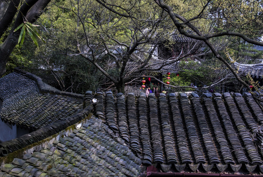 江南園林