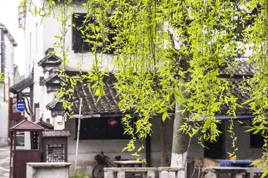 水鄉(xiāng)古鎮(zhèn)