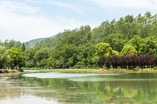 珍珠泉風(fēng)景區(qū)水景