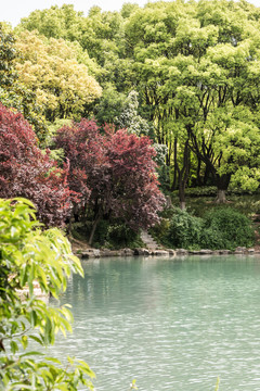 景區(qū)水景