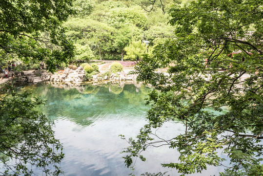 景區(qū)水景