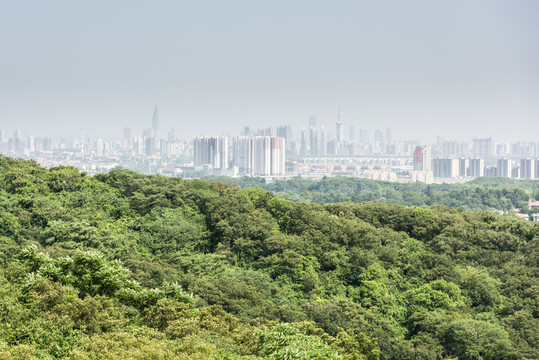 景區(qū)山景