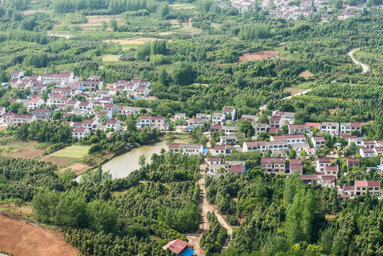 山頂俯瞰