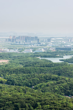 山頂俯瞰