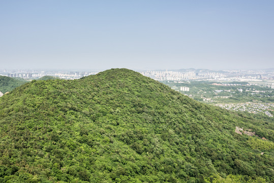 山林