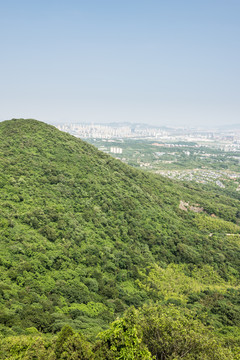 山林