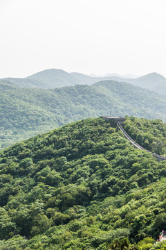 景區(qū)山林
