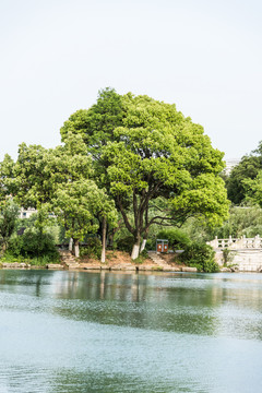 珍珠泉風(fēng)景區(qū)景觀