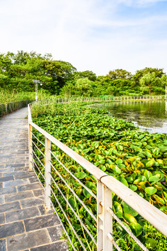 珍珠泉風(fēng)景區(qū)水景