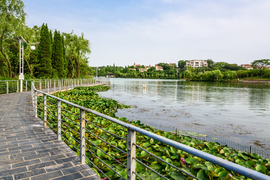 珍珠泉風(fēng)景區(qū)水景