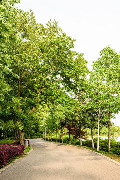 珍珠泉風(fēng)景區(qū)道路