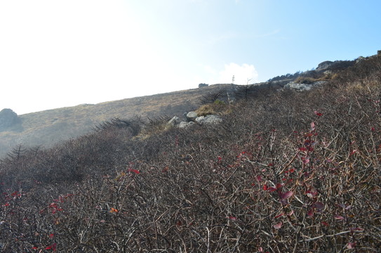 秦嶺風(fēng)光