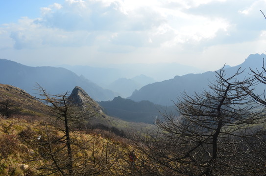 高山白云