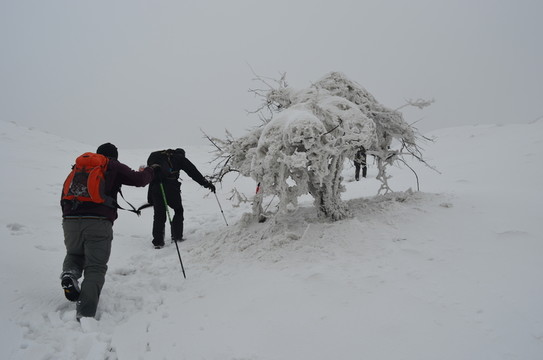雪中登山