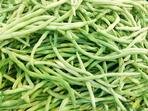 蕓豆