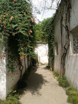 藝圃