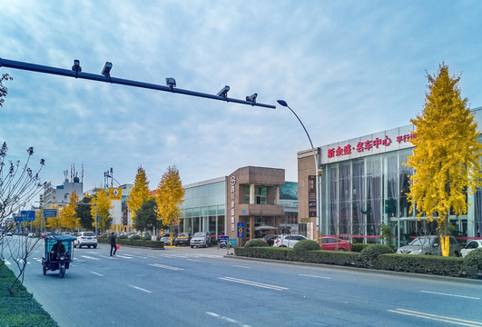 道路兩旁金黃色的銀杏樹(shù)