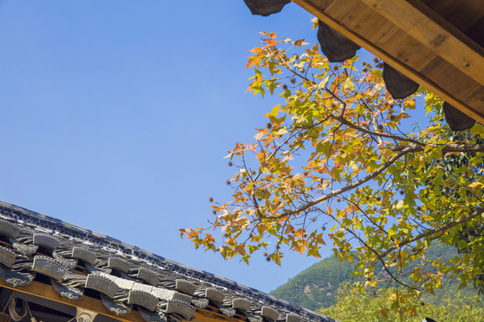 浙江麗水坐忘閣