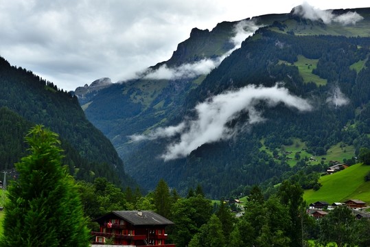 云霧山中