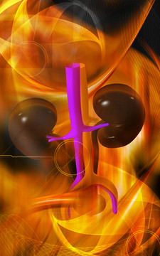 制圖學(xué)