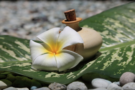 按摩油