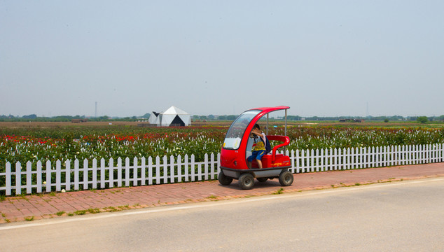 旅游觀光車 景區(qū)觀光車