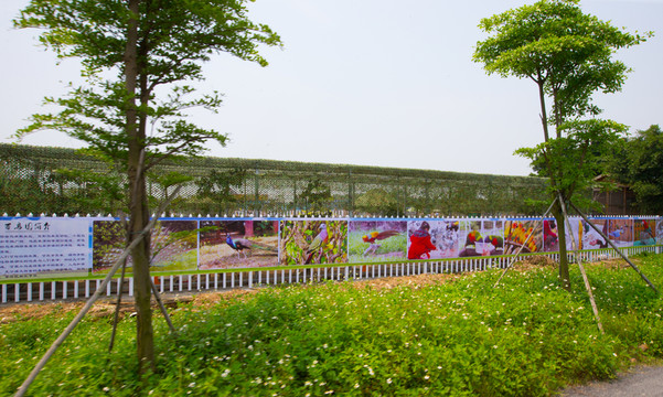 寶包農(nóng)場