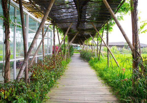 寶包農(nóng)場 三水 主題公園
