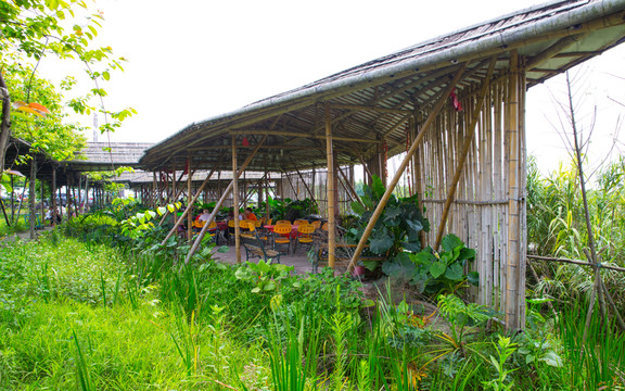 寶包農(nóng)場 三水 主題公園