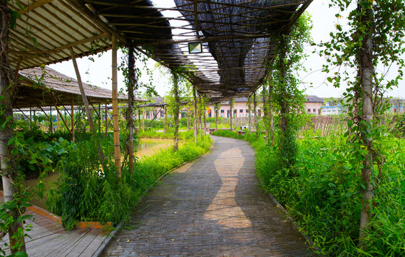 寶包農(nóng)場 三水 主題公園
