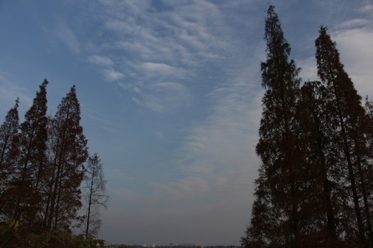 藍(lán)天 白云 （11）