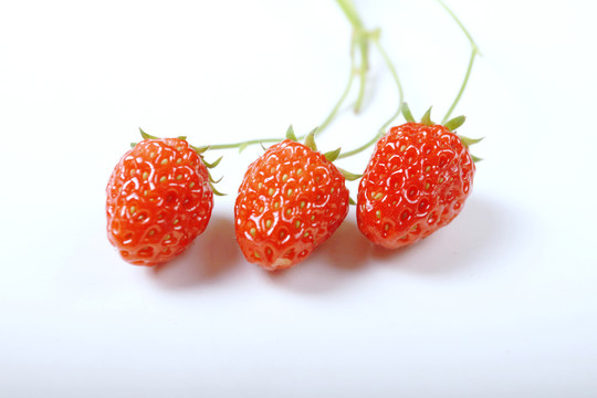 草莓