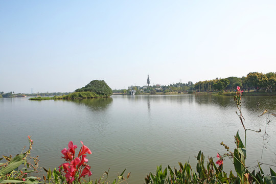 海珠湖