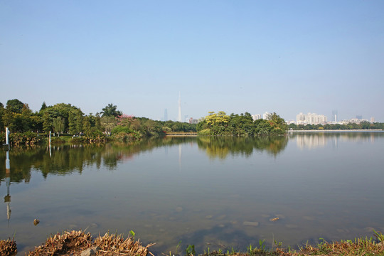 海珠湖