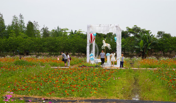 花海