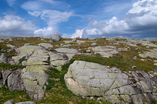 山