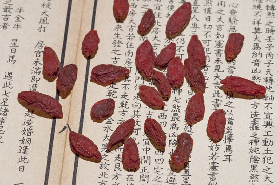 枸杞