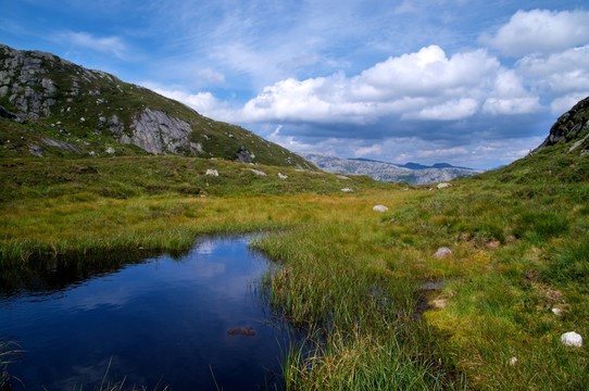 山