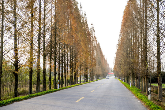 公路