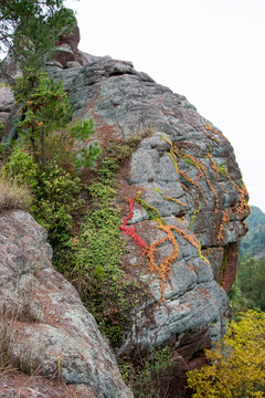 南雄觀音山