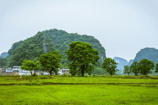 田園風(fēng)光