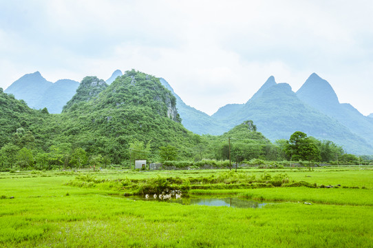 田園風(fēng)光