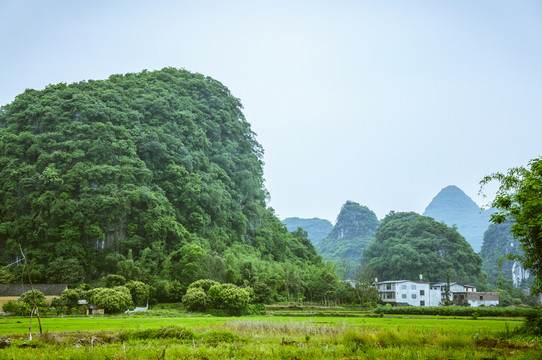 田園風光