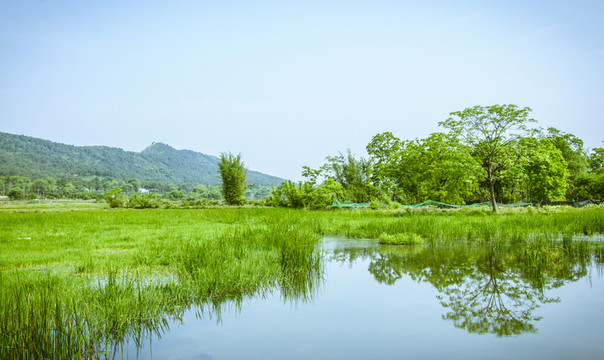 田園春色