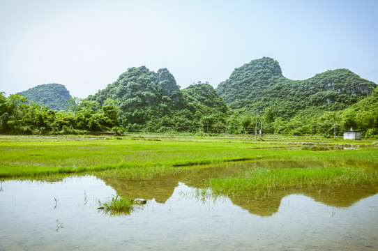 田園春色