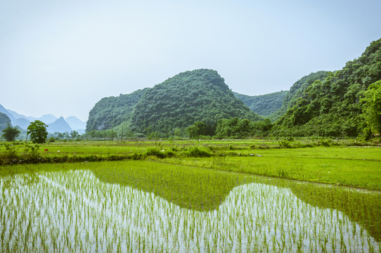 田園春色